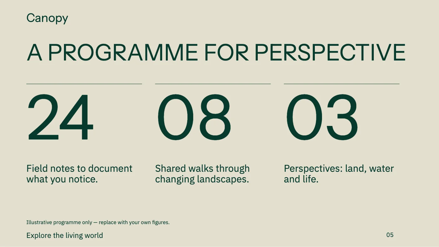 Presentation layout, page 5