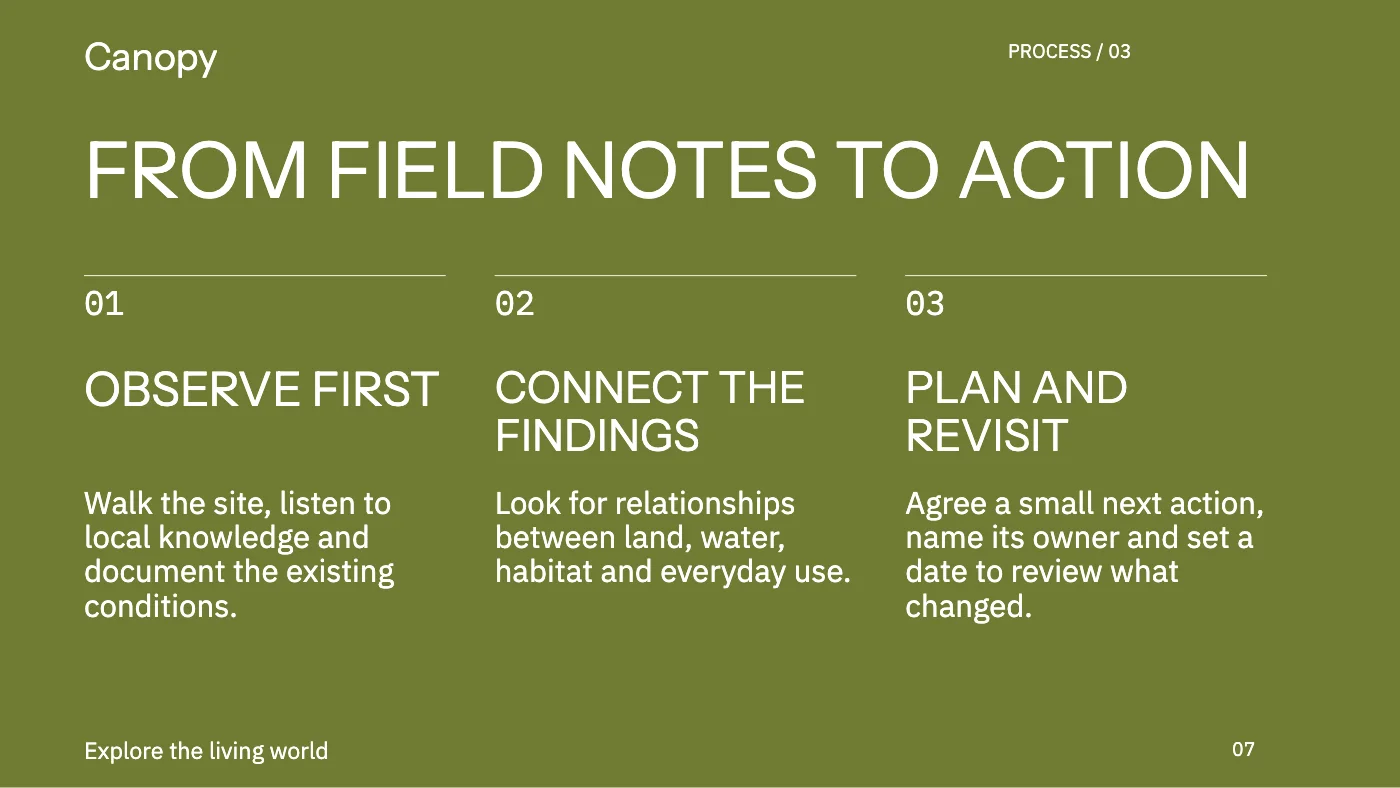 Presentation layout, page 7