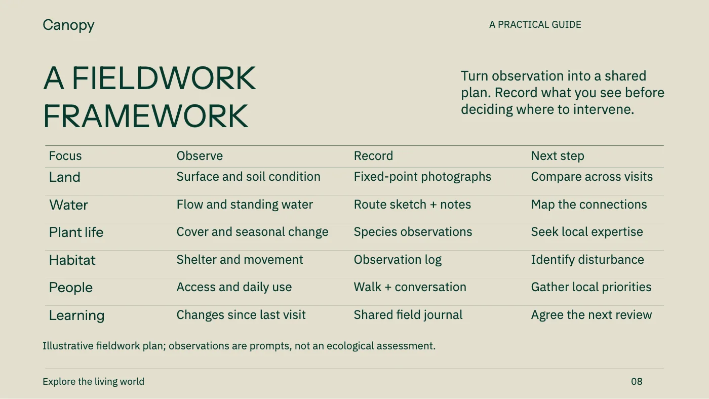Presentation layout, page 8