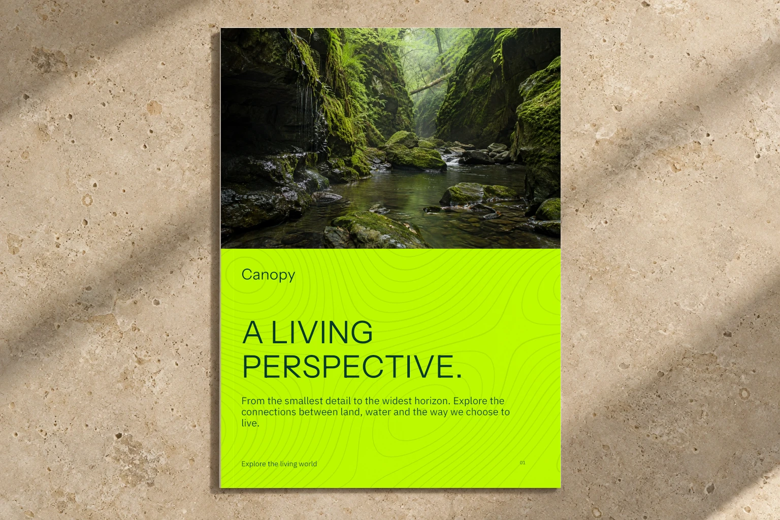 Canopy photographic brand application