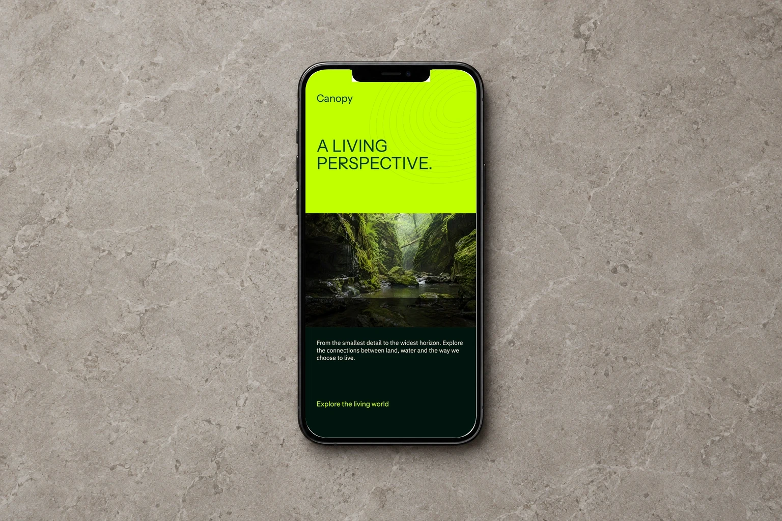 Phone / stone featuring Canopy