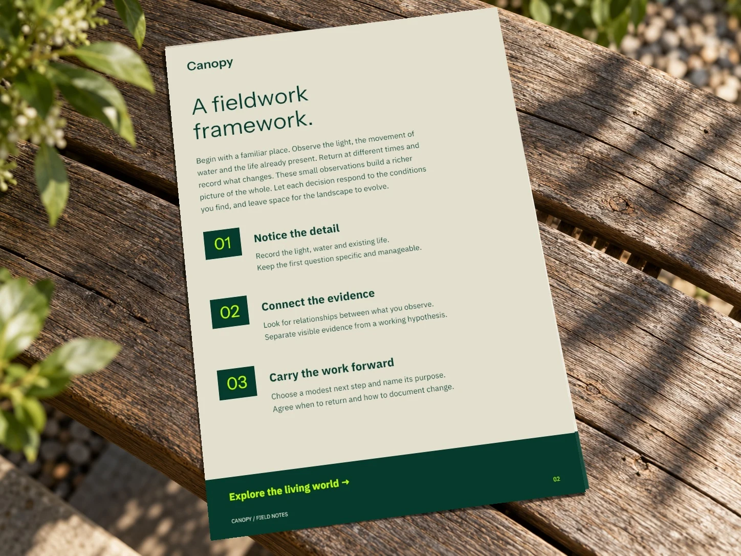 Canopy · Publication Field example
