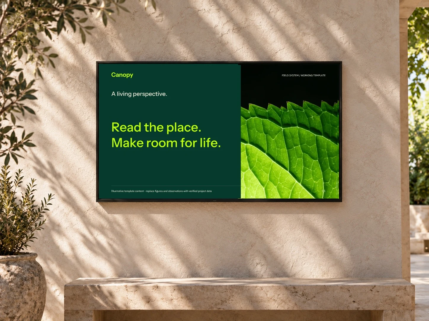 Canopy · Wall Display example